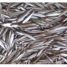 Заморожені морепродукти ставкова корюшка